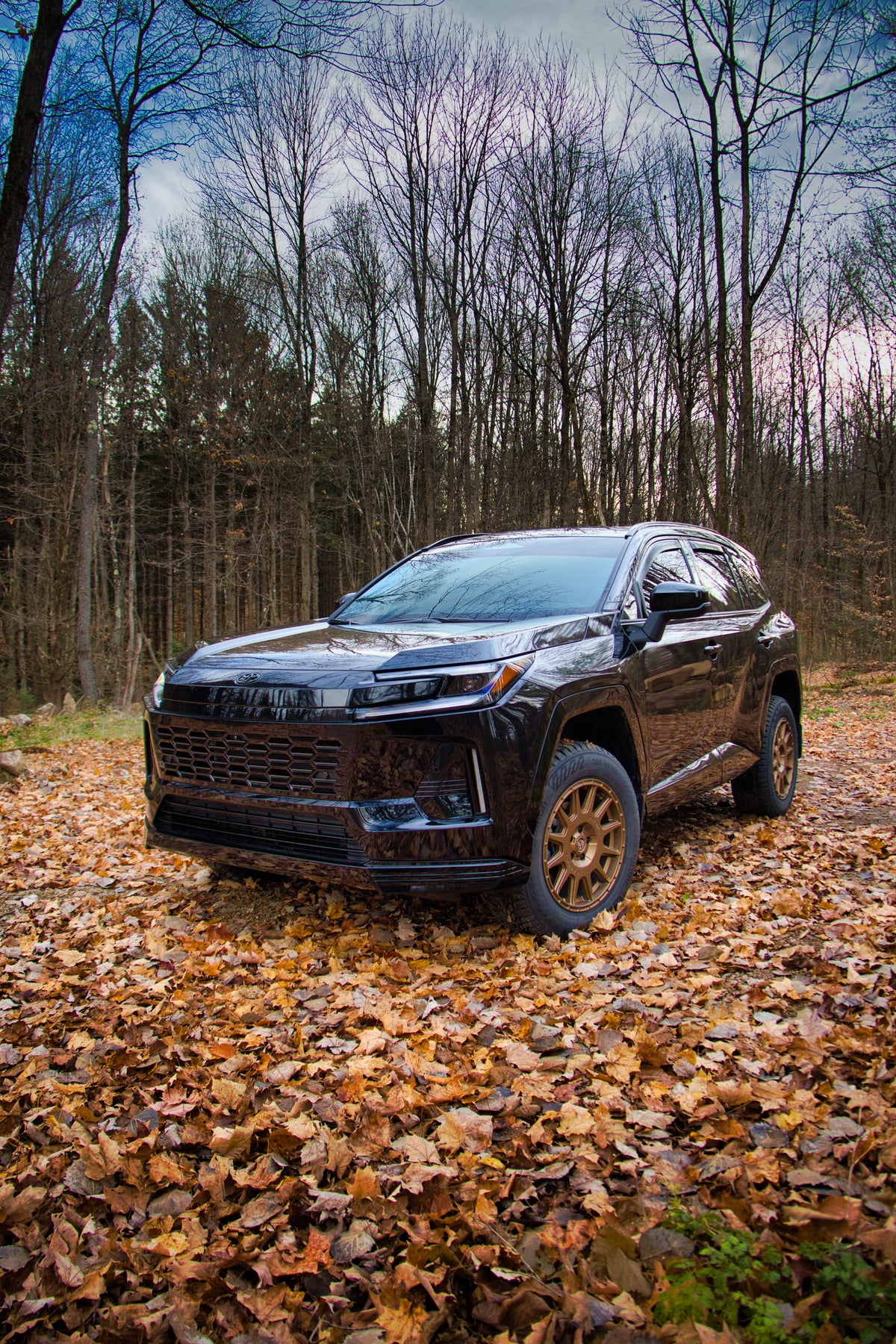LP Aventure lift kit - 2026+ RAV4
